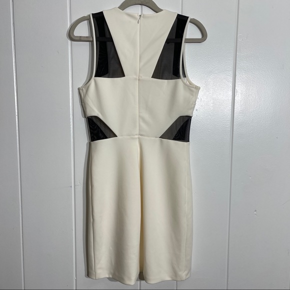 Express White Dress with Black Mesh Cutouts - Picture 4 of 7
